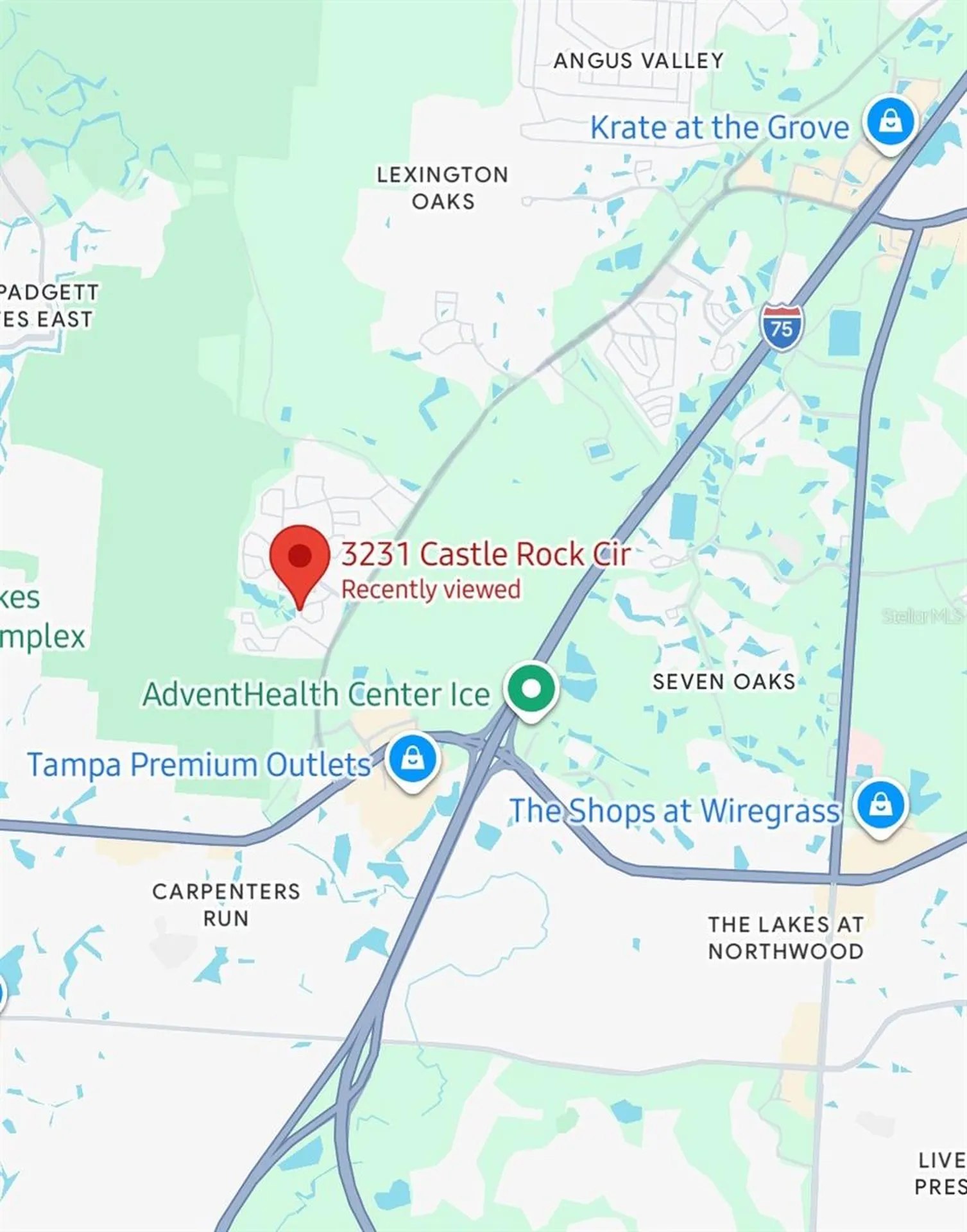3231 Castle Rock Circle Land O Lakes FL 34639