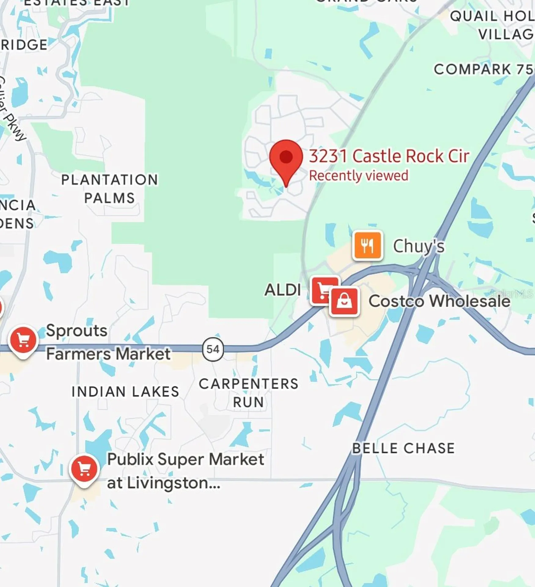 3231 Castle Rock Circle Land O Lakes FL 34639
