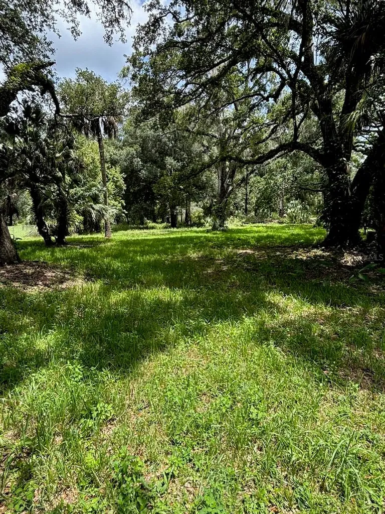 24739 Audrey Road Land O Lakes FL 34639