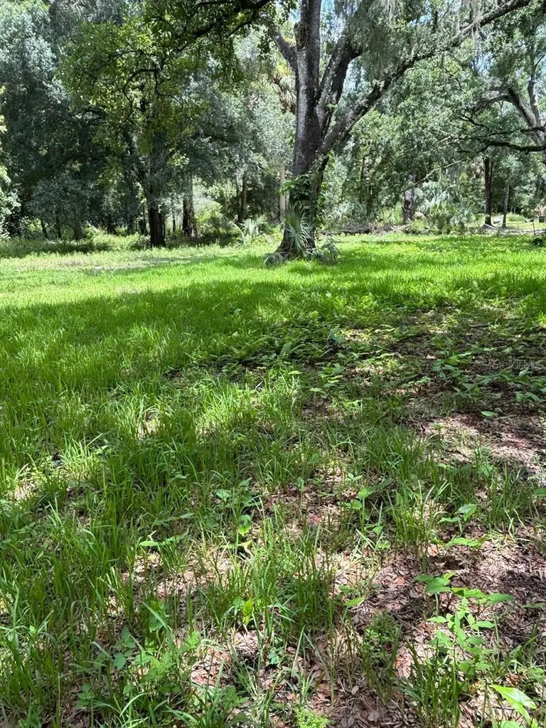 24739 Audrey Road Land O Lakes FL 34639