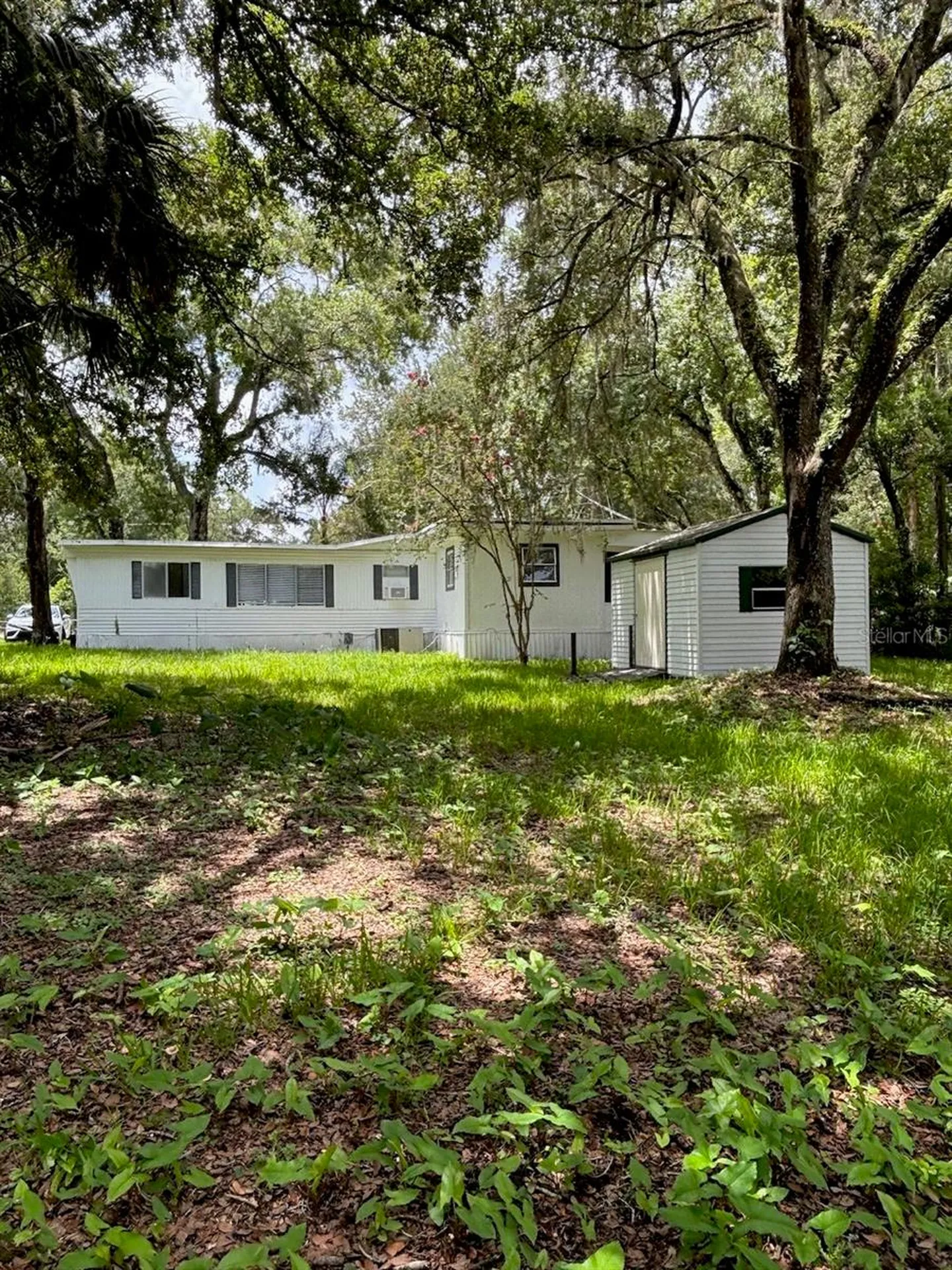 24739 Audrey Road Land O Lakes FL 34639