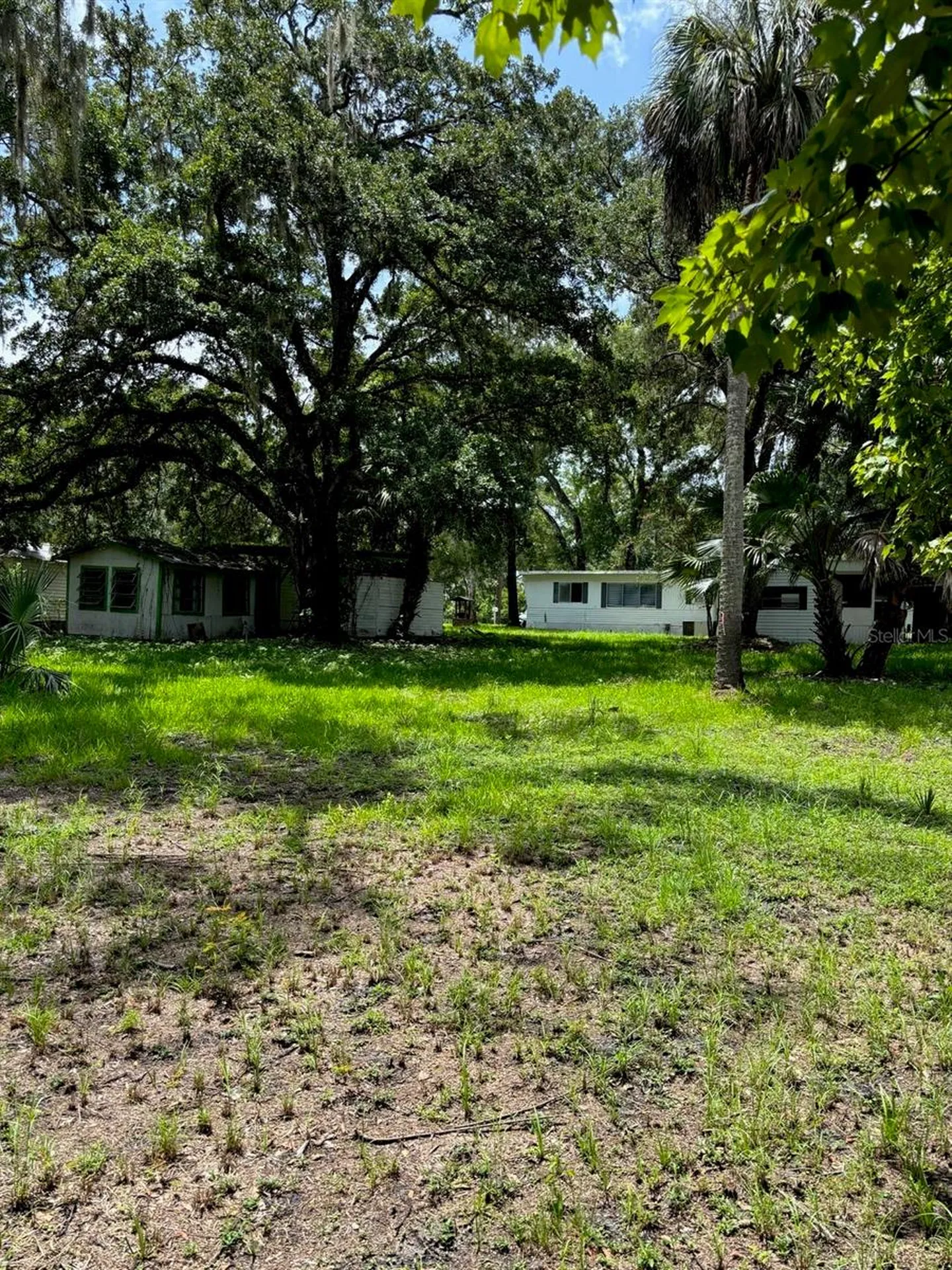24739 Audrey Road Land O Lakes FL 34639