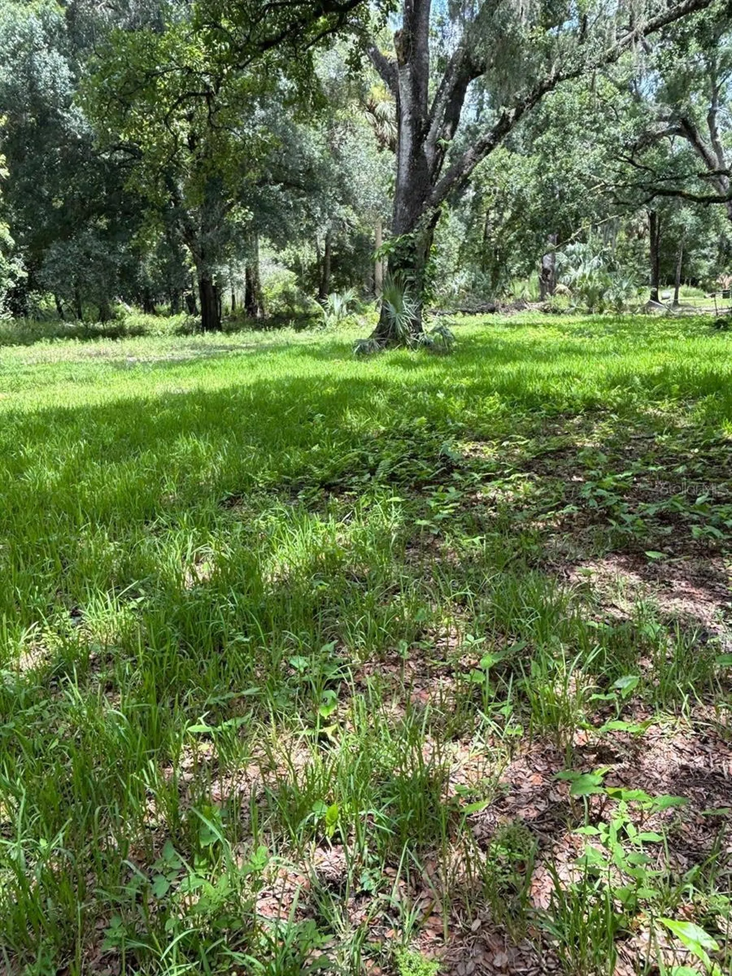 24739 Audrey Road Land O Lakes FL 34639