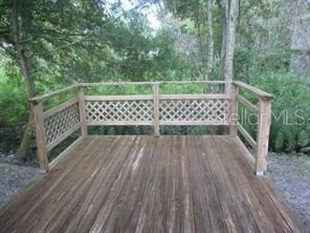 4851 Billy Direct Lane Lutz FL 33559