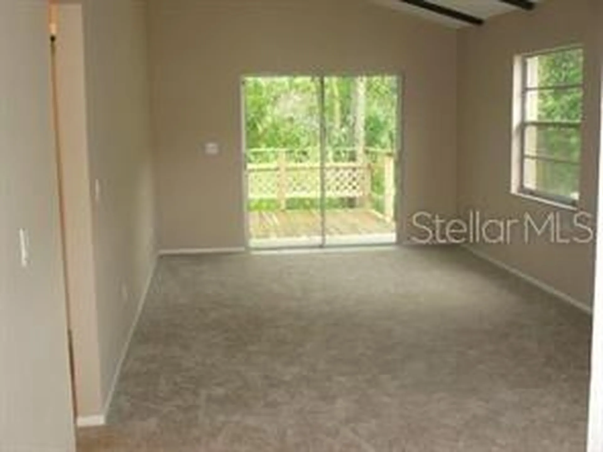 4851 Billy Direct Lane Lutz FL 33559