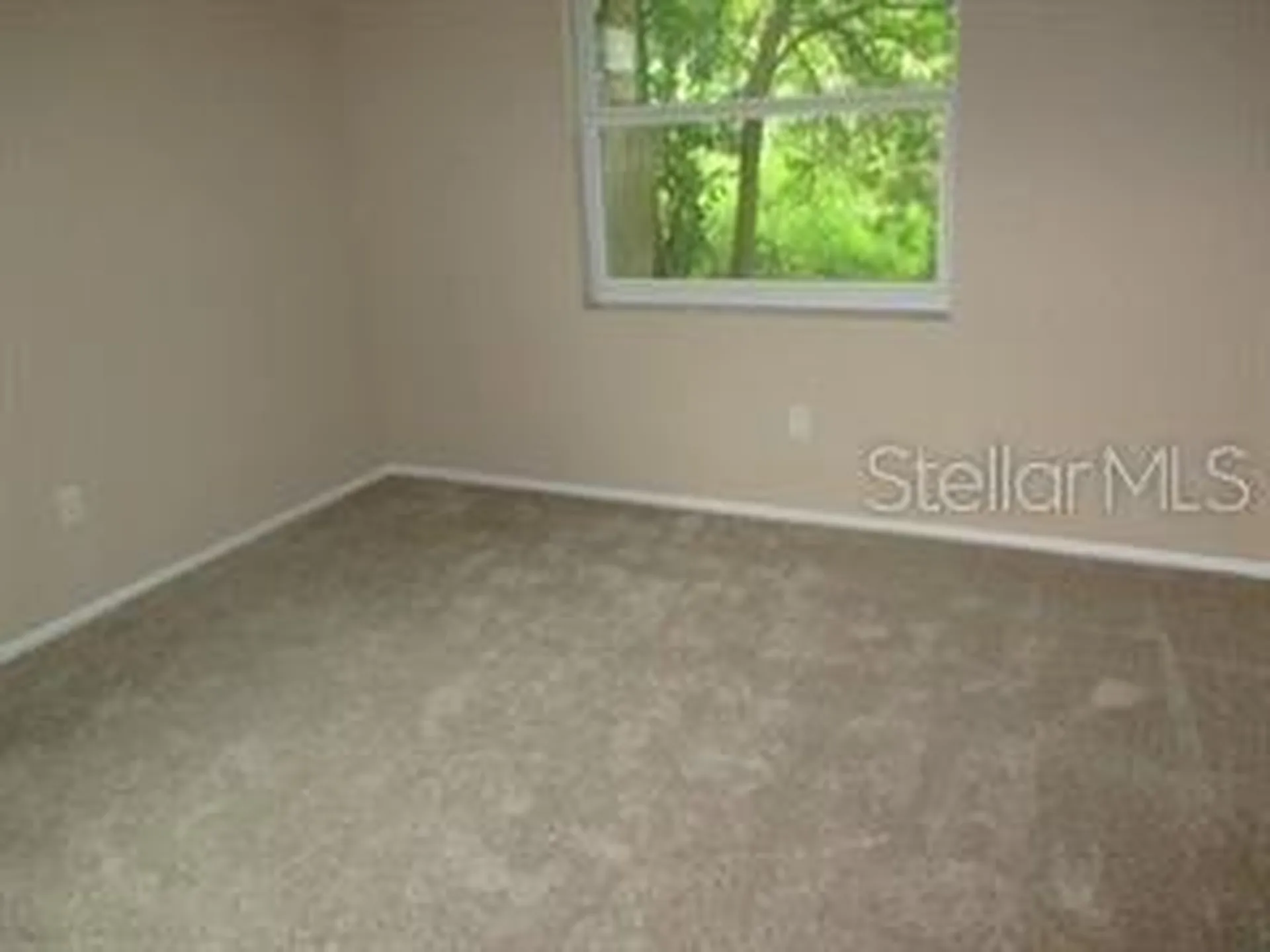 4851 Billy Direct Lane Lutz FL 33559