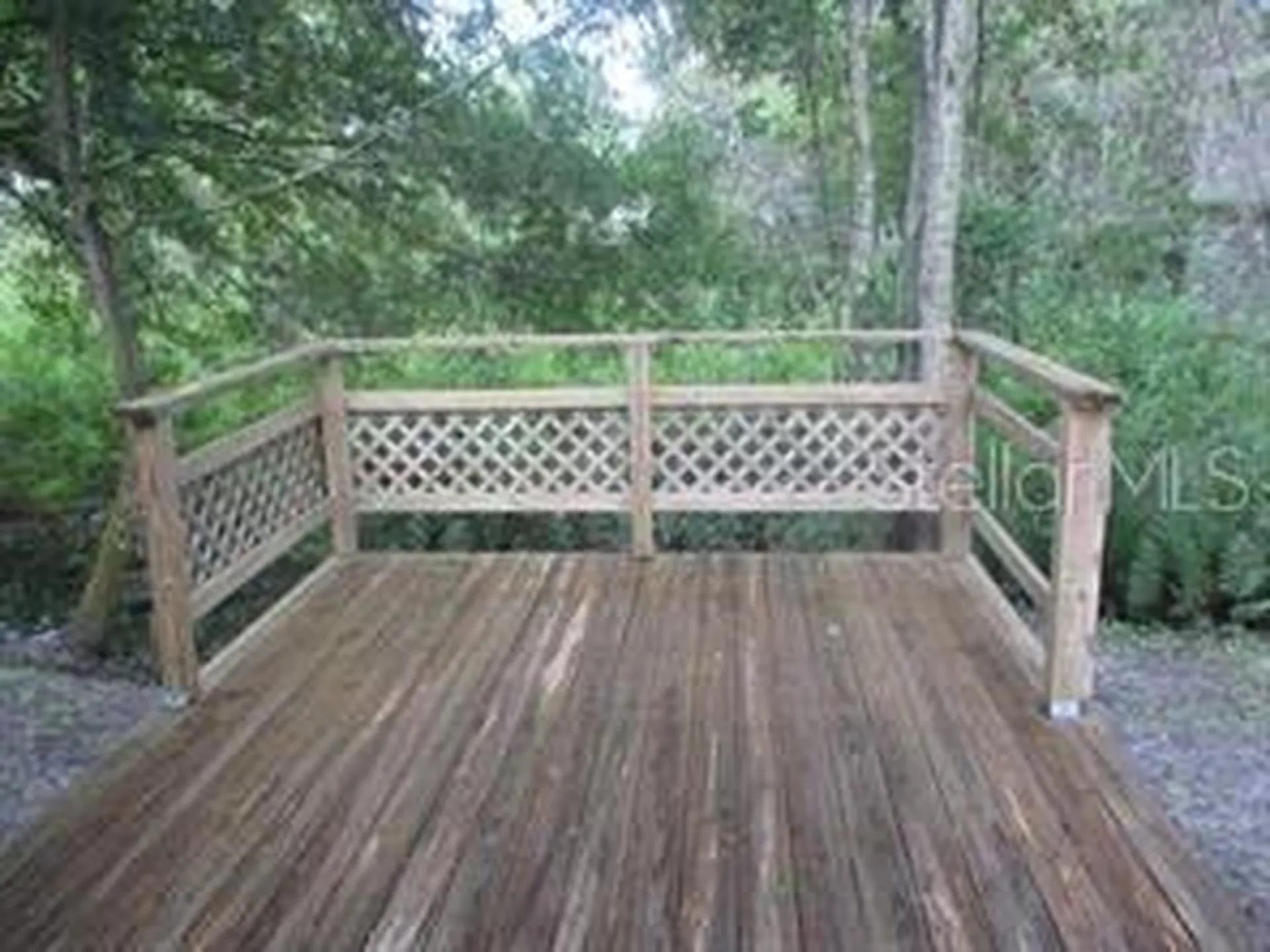 4851 Billy Direct Lane Lutz FL 33559
