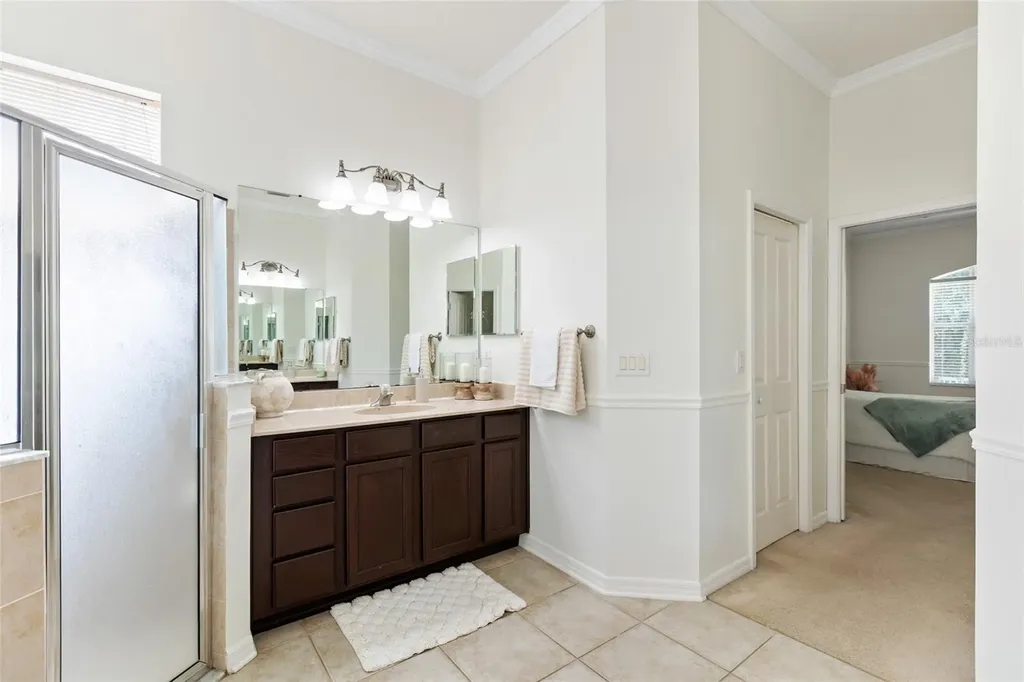 16132 Ivy Lake Drive Odessa FL 33556