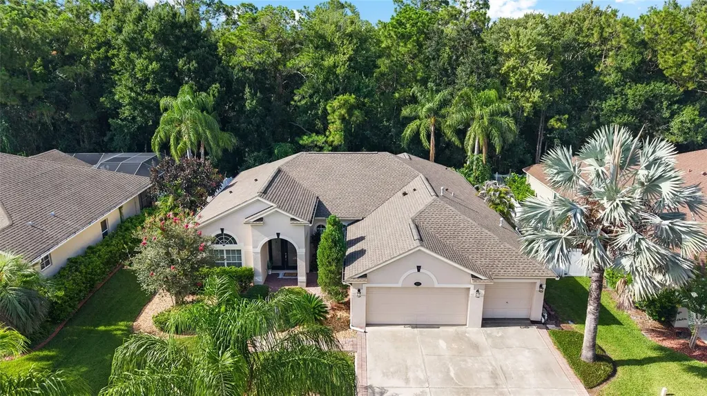 16132 Ivy Lake Drive Odessa FL 33556