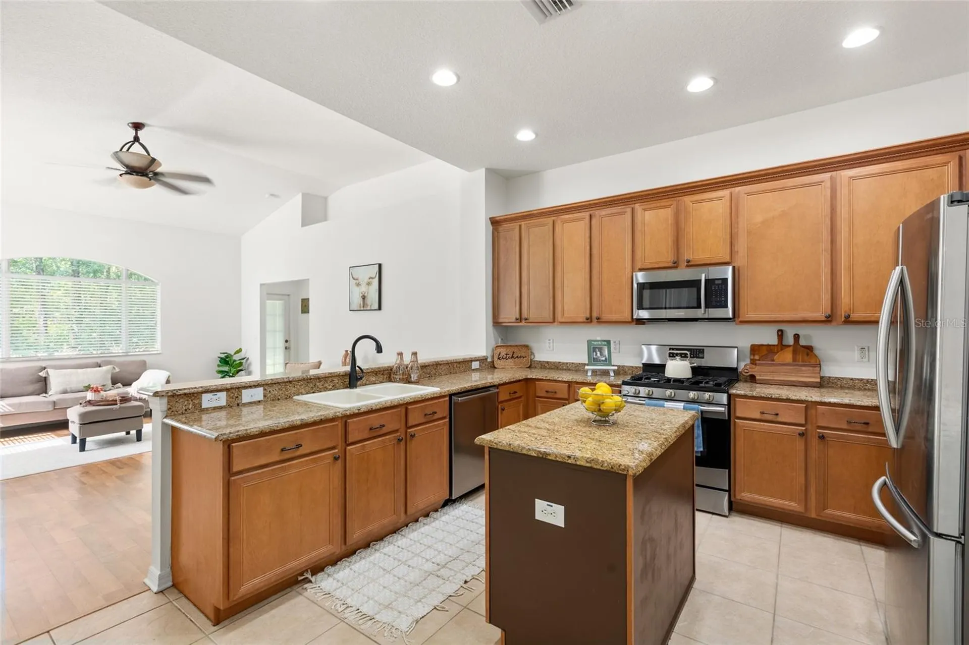 16132 Ivy Lake Drive Odessa FL 33556