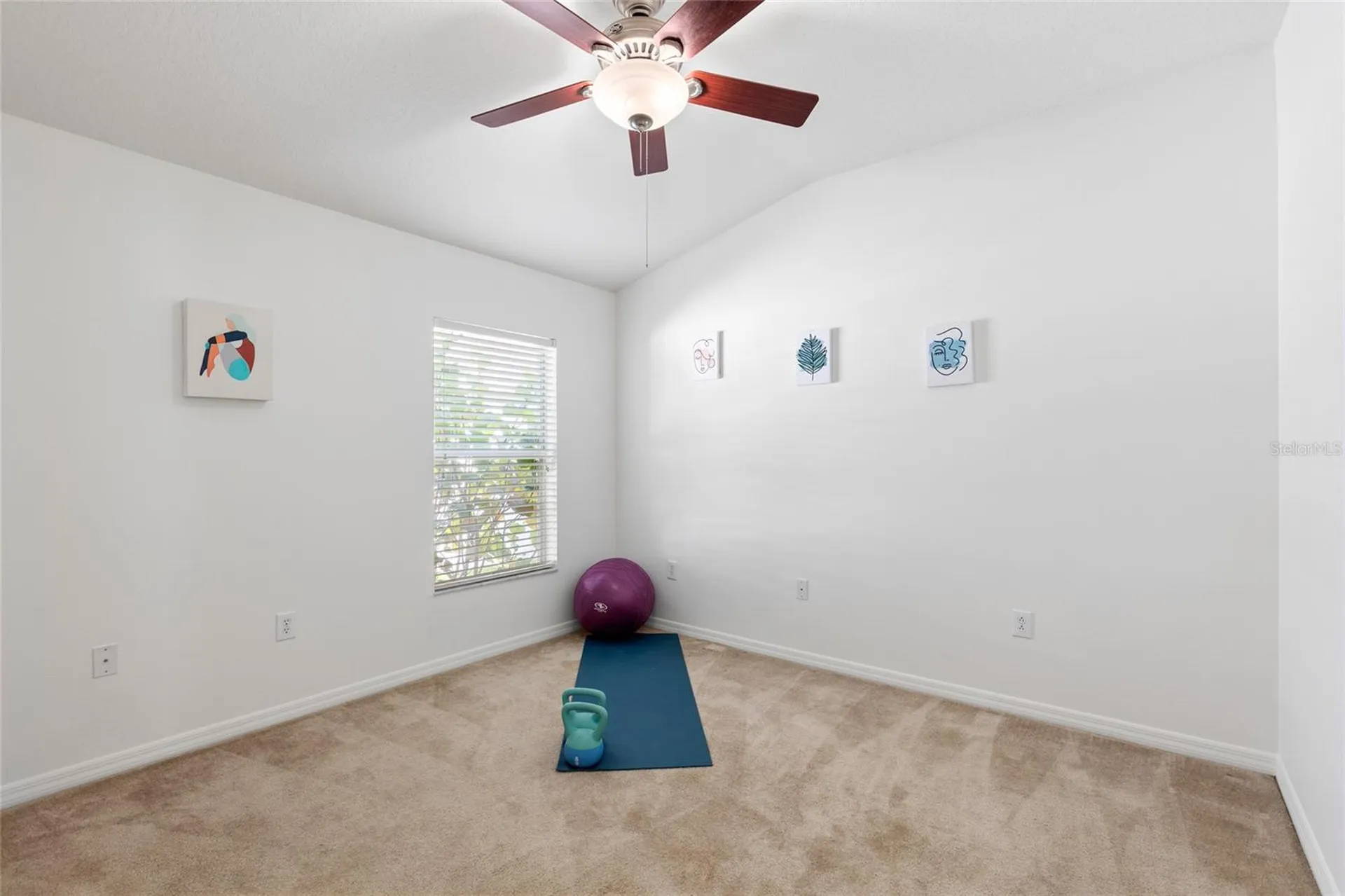 16132 Ivy Lake Drive Odessa FL 33556