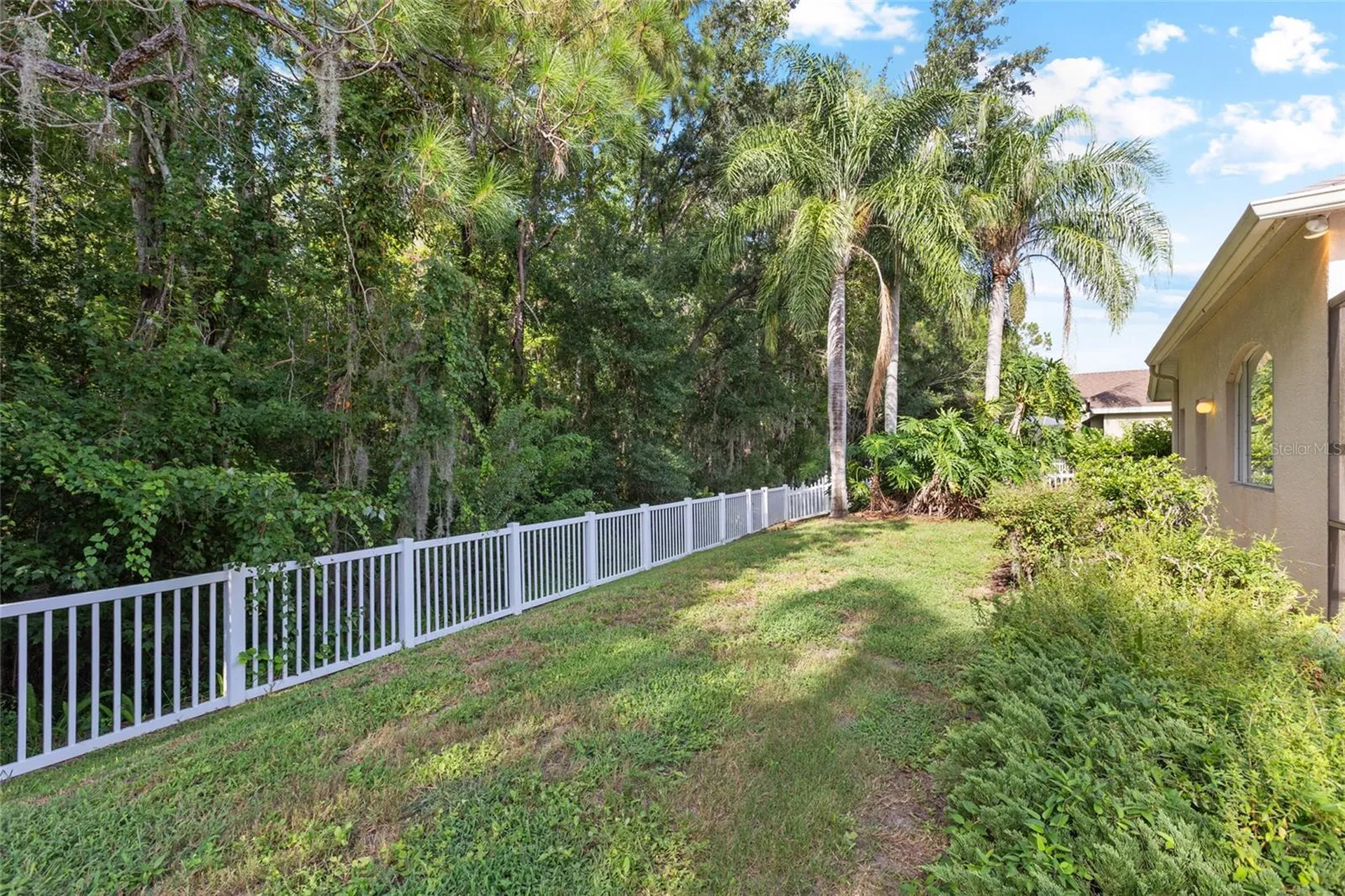 16132 Ivy Lake Drive Odessa FL 33556