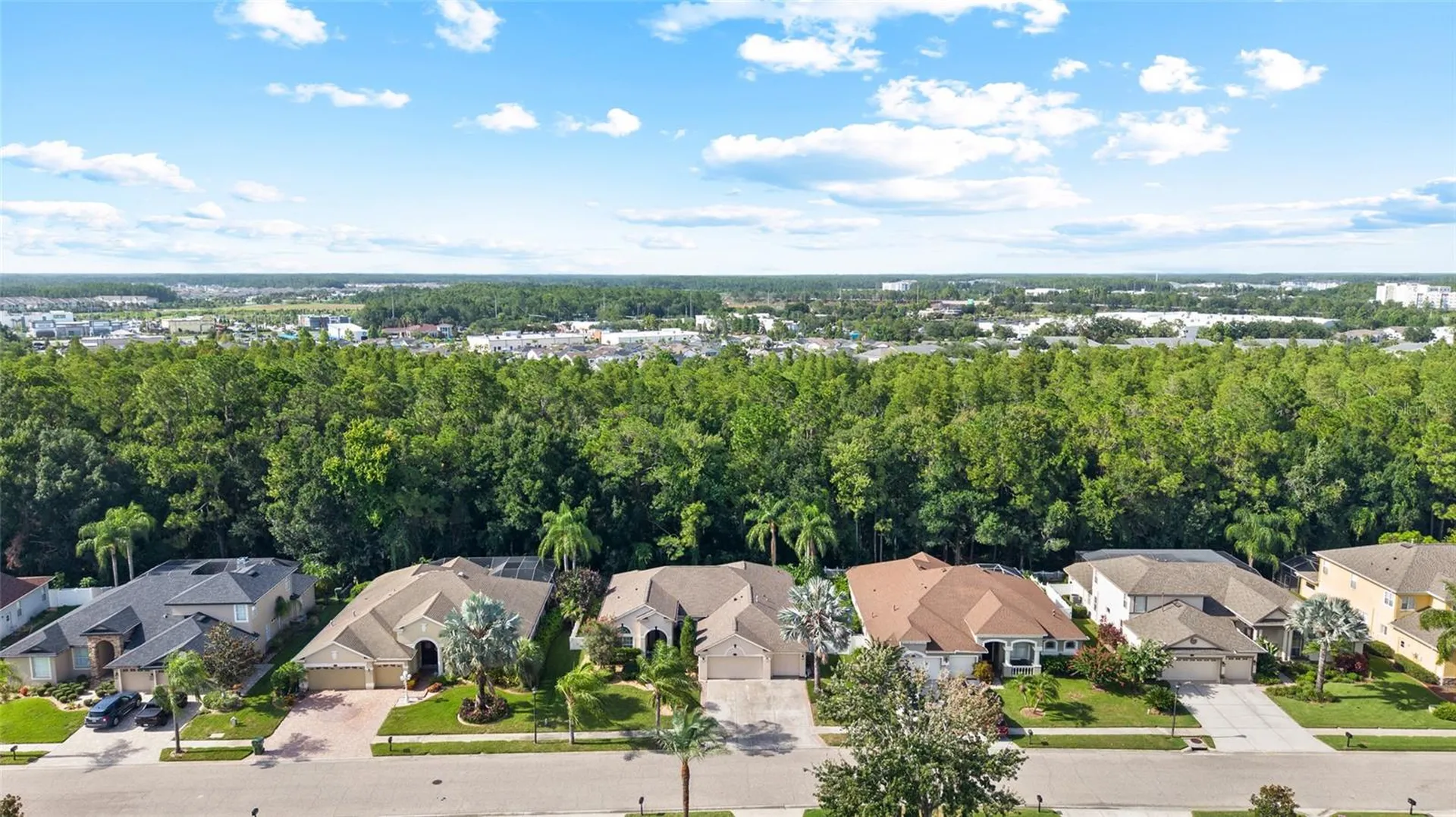 16132 Ivy Lake Drive Odessa FL 33556
