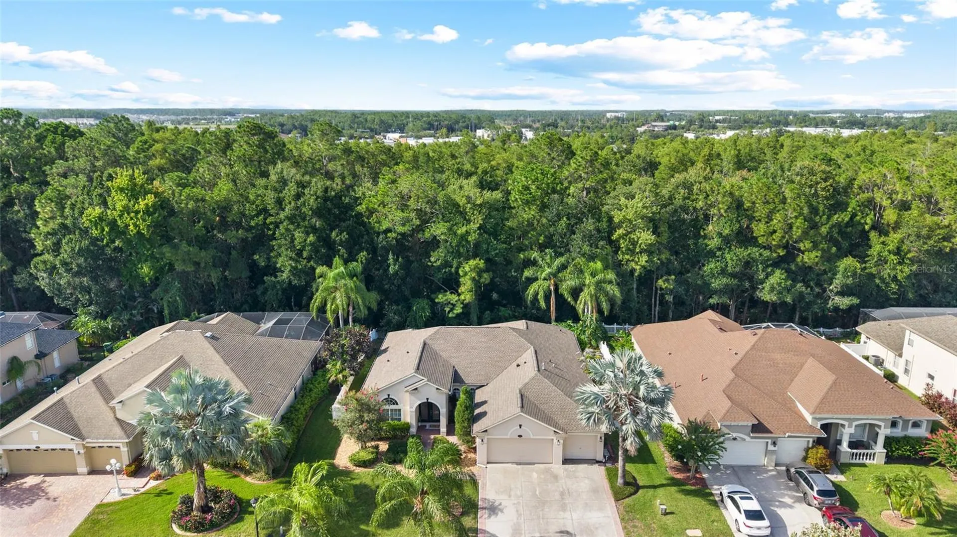 16132 Ivy Lake Drive Odessa FL 33556
