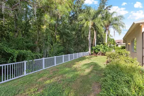 16132 Ivy Lake Drive Odessa FL 33556