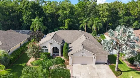 16132 Ivy Lake Drive Odessa FL 33556