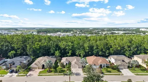 16132 Ivy Lake Drive Odessa FL 33556