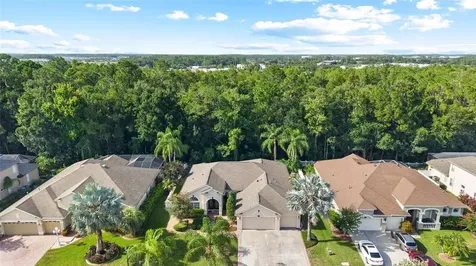 16132 Ivy Lake Drive Odessa FL 33556