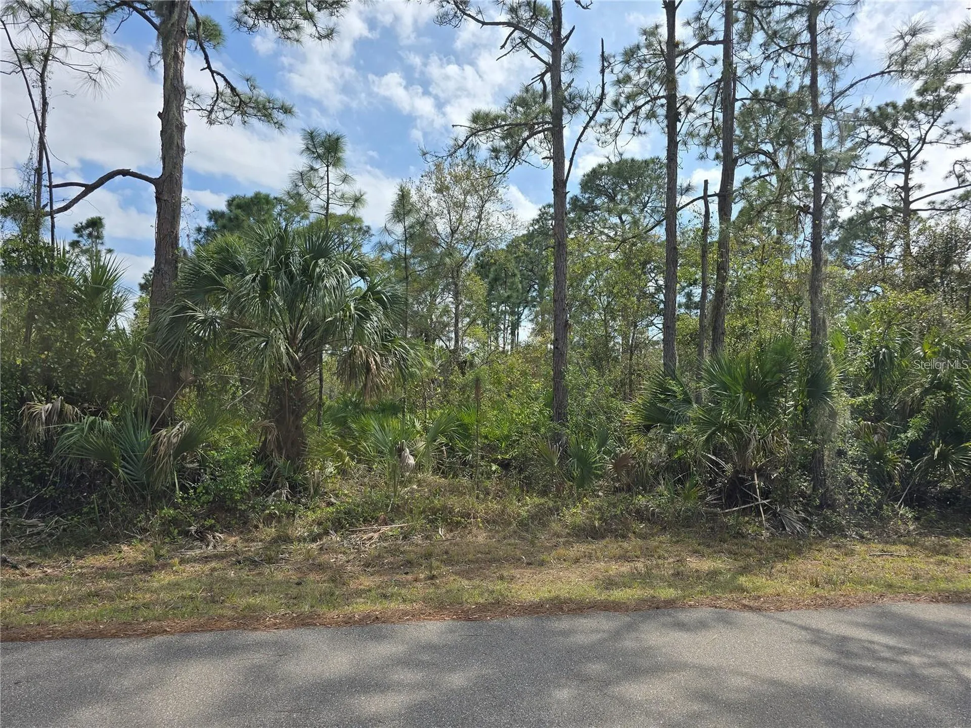 14055 Rider Avenue Port Charlotte FL 33953