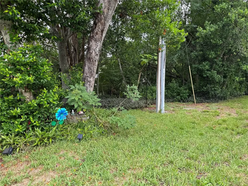 10707 Salamanca Drive Port Richey FL 34668