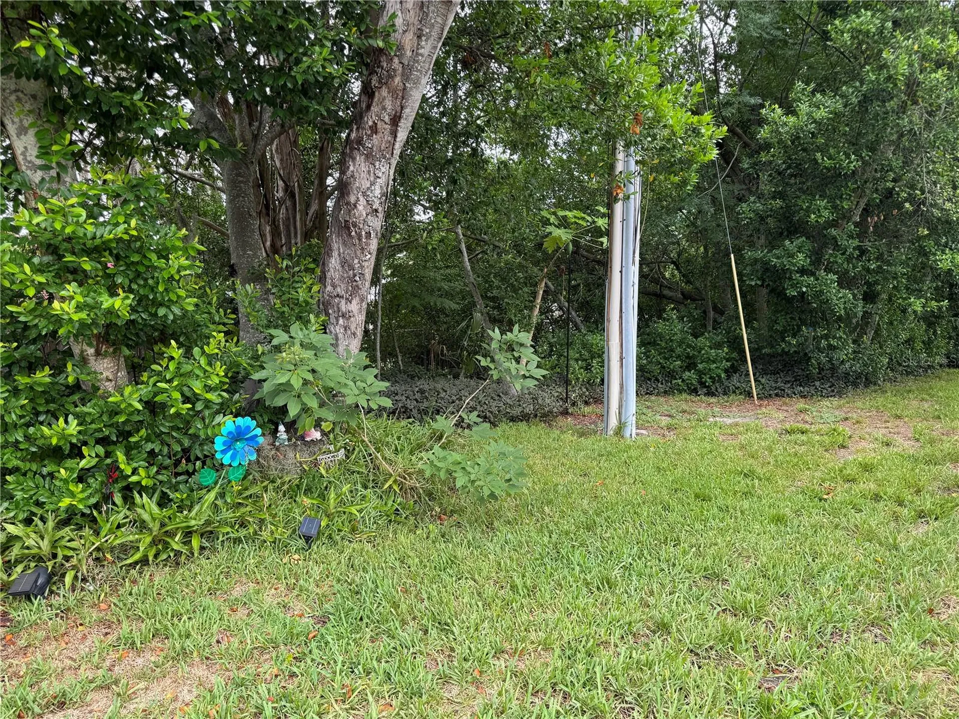 10707 Salamanca Drive Port Richey FL 34668
