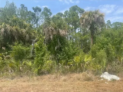 348 Ramblewood Street Port Charlotte FL 33953