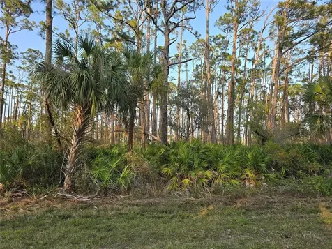 12522 Ranch Avenue Port Charlotte FL 33953