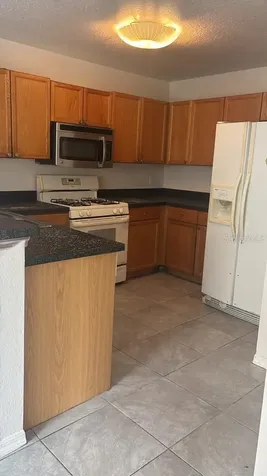 1317 Fettler Way Winter Garden FL 34787