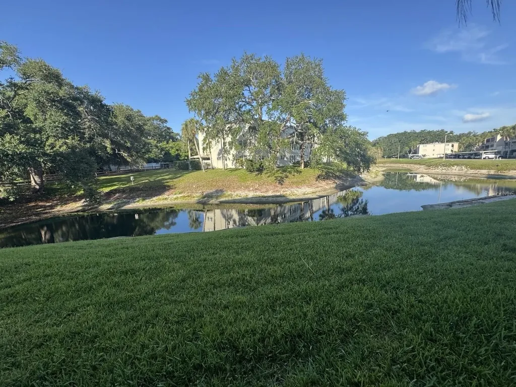 946 Virginia Street Dunedin FL 34698