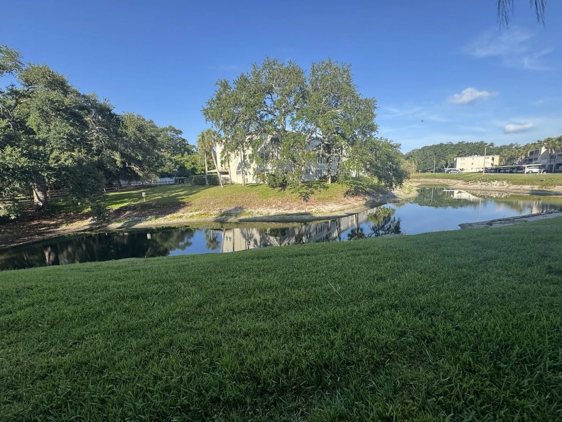 946 Virginia Street Dunedin FL 34698