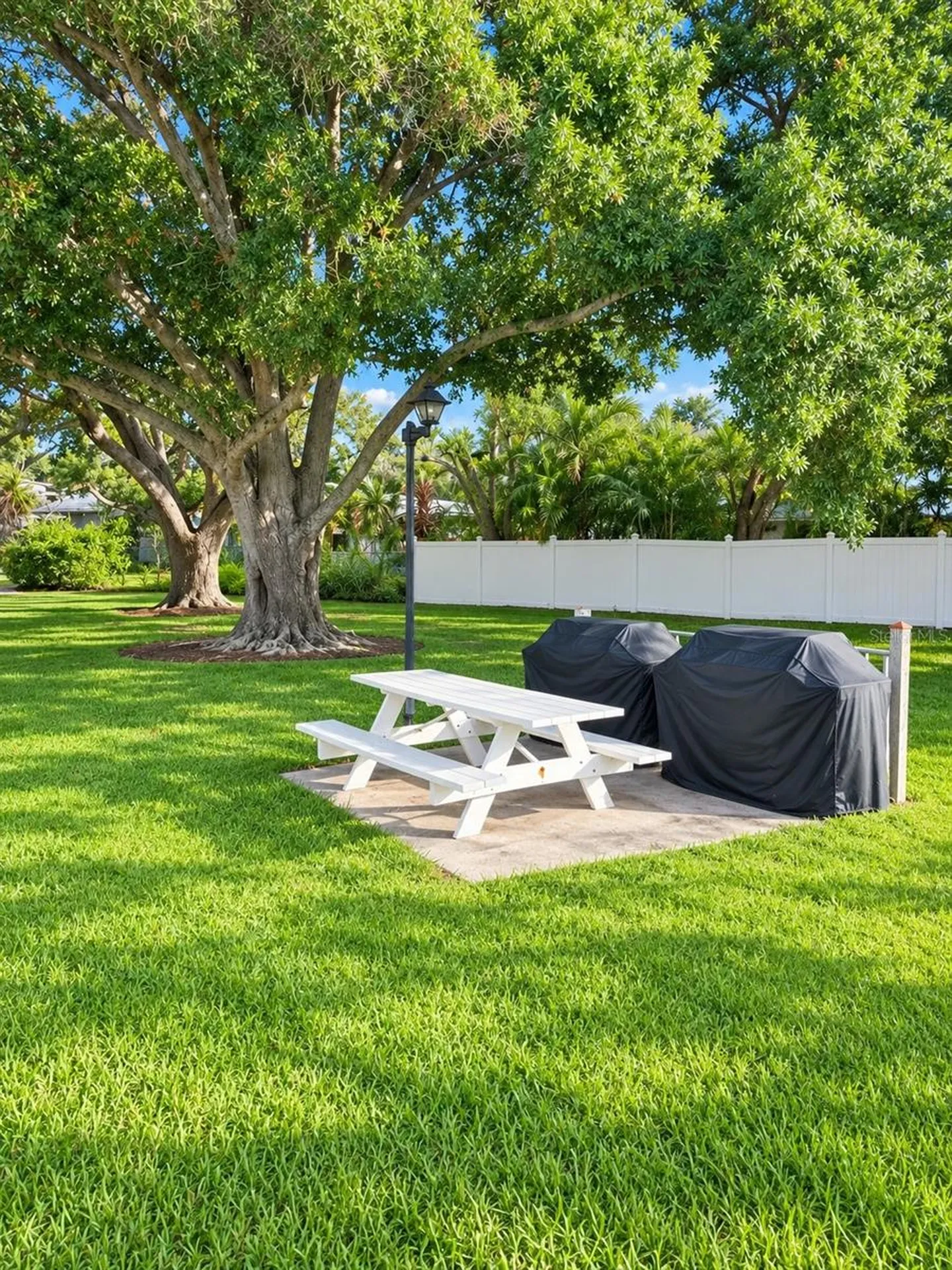 946 Virginia Street Dunedin FL 34698