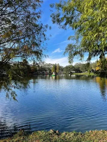 1300 E Henry Avenue Tampa FL 33604