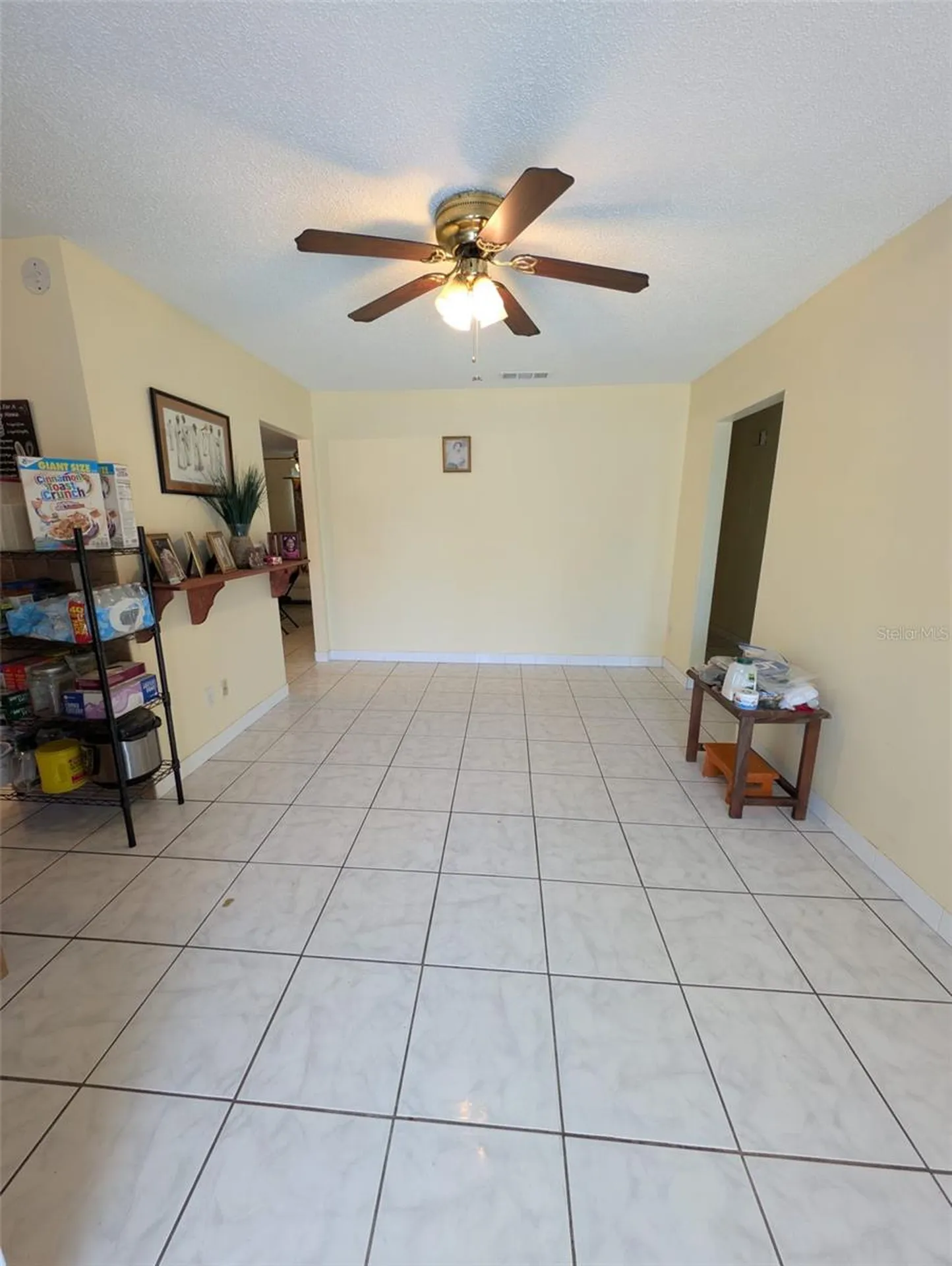 8002 Woodvine Place Tampa FL 33615