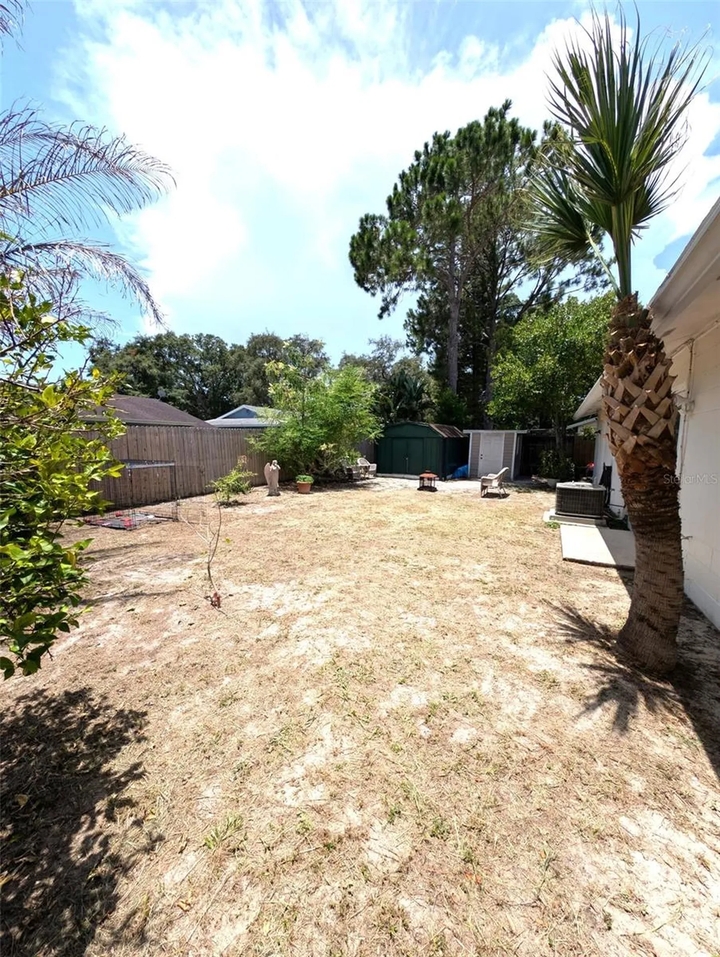 8002 Woodvine Place Tampa FL 33615