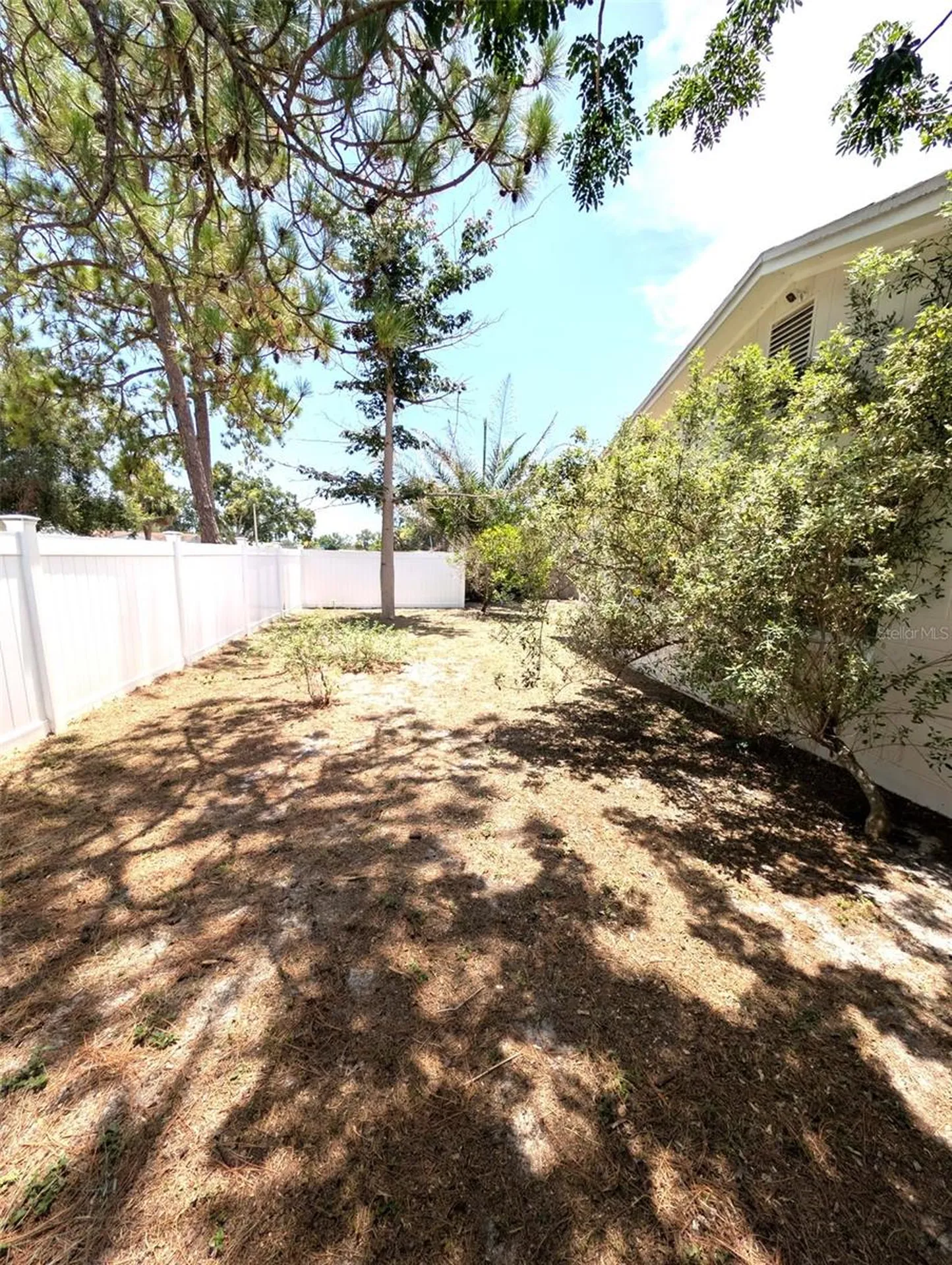 8002 Woodvine Place Tampa FL 33615