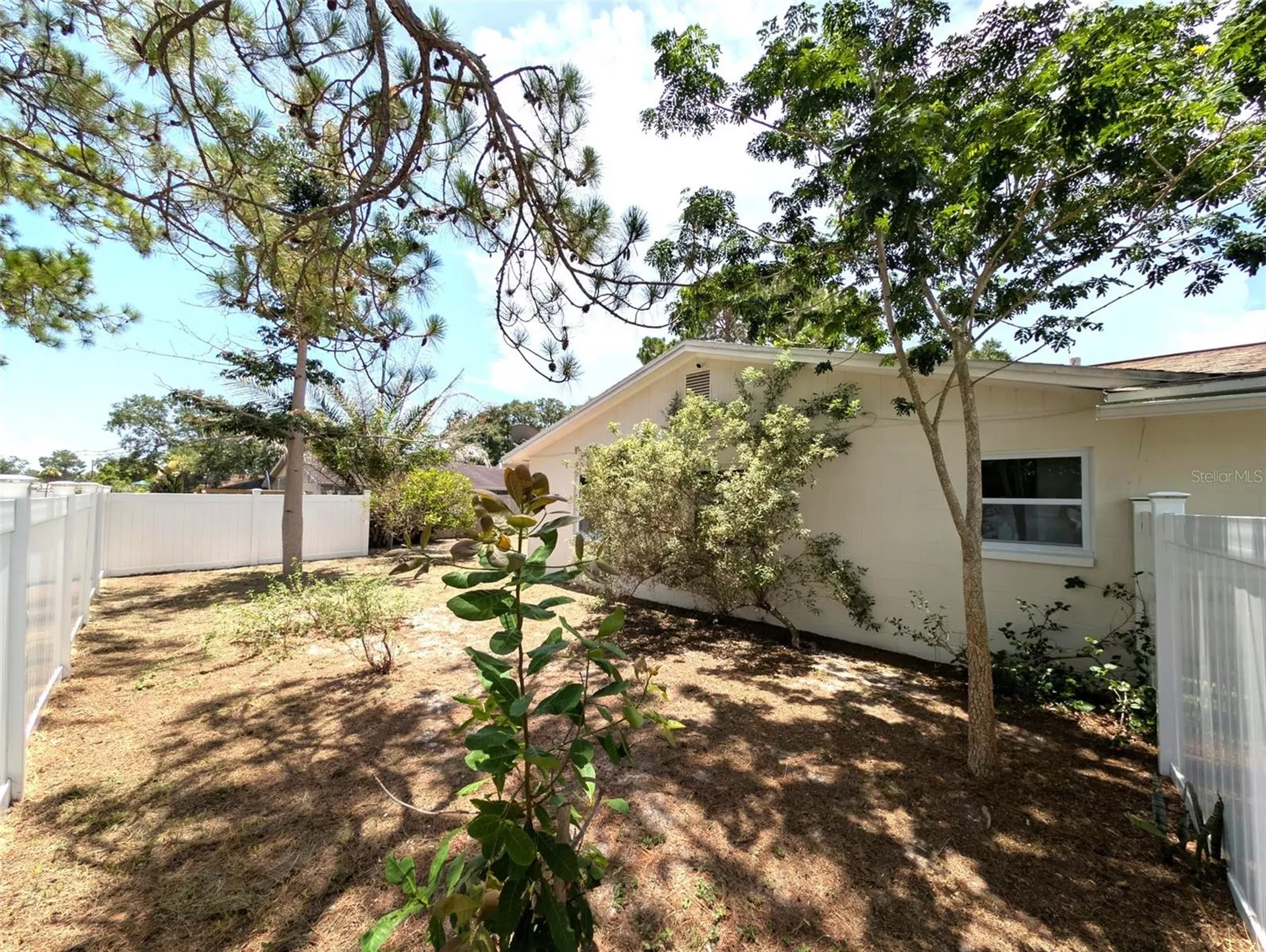 8002 Woodvine Place Tampa FL 33615