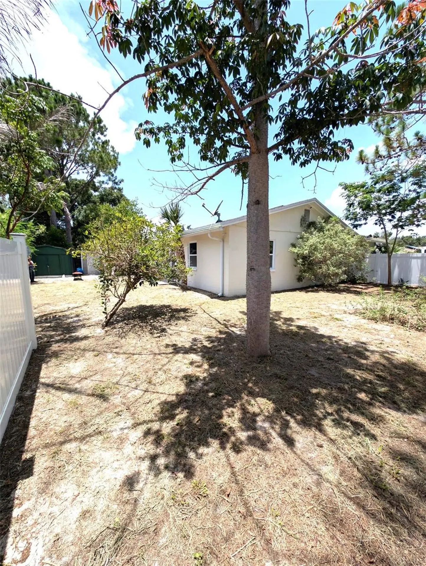 8002 Woodvine Place Tampa FL 33615