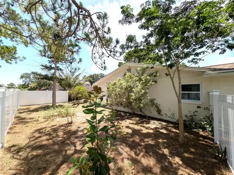 8002 Woodvine Place Tampa FL 33615