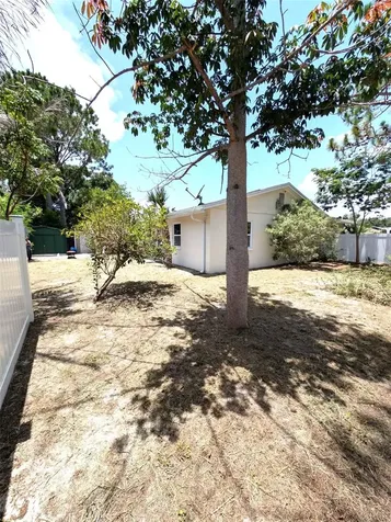 8002 Woodvine Place Tampa FL 33615
