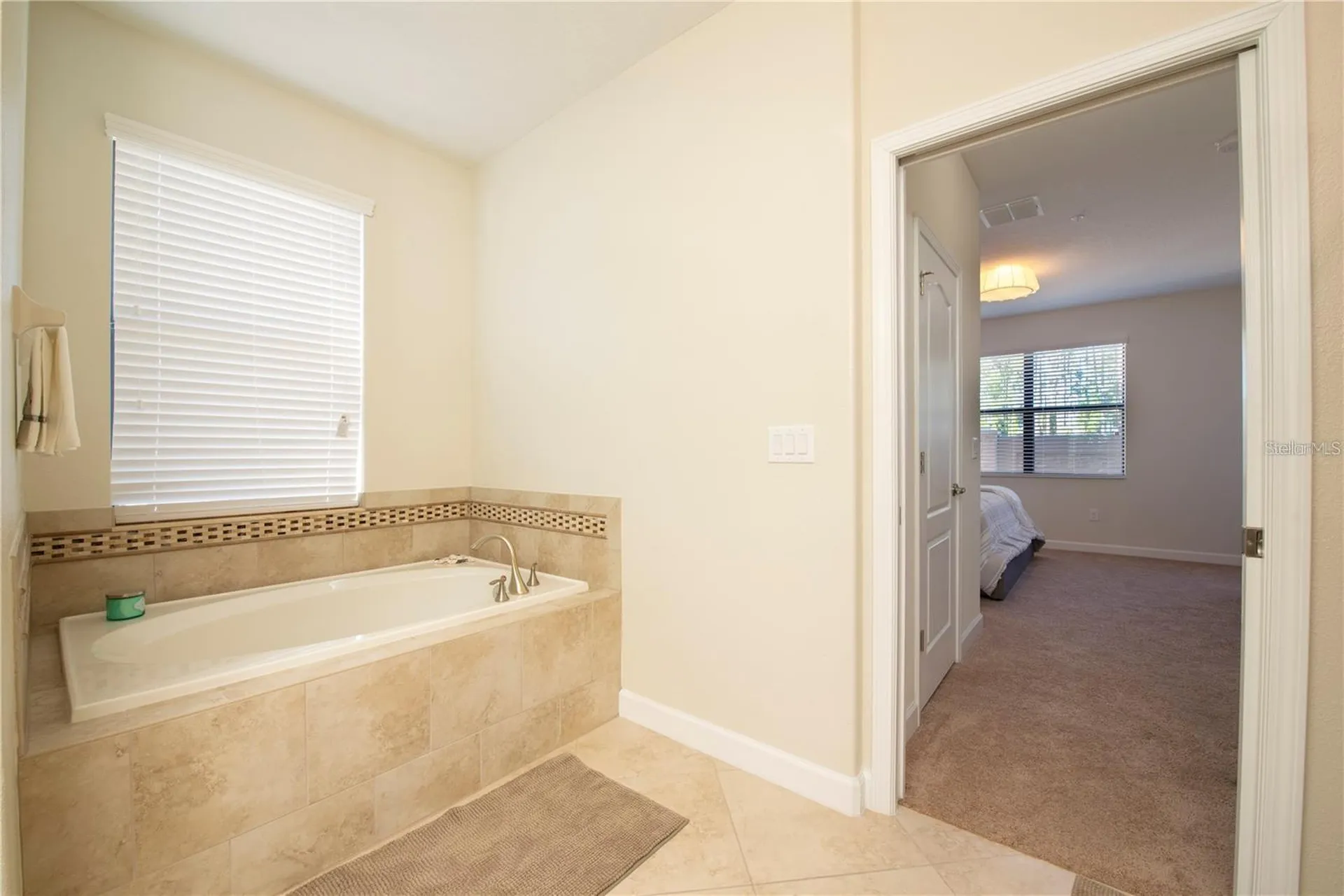 1225 Long Cove Loop Davenport FL 33896
