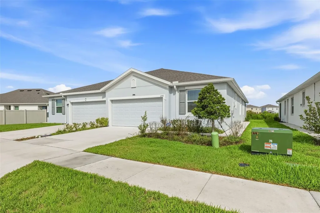 2541 Bending Bonsai Drive Wesley Chapel FL 33543