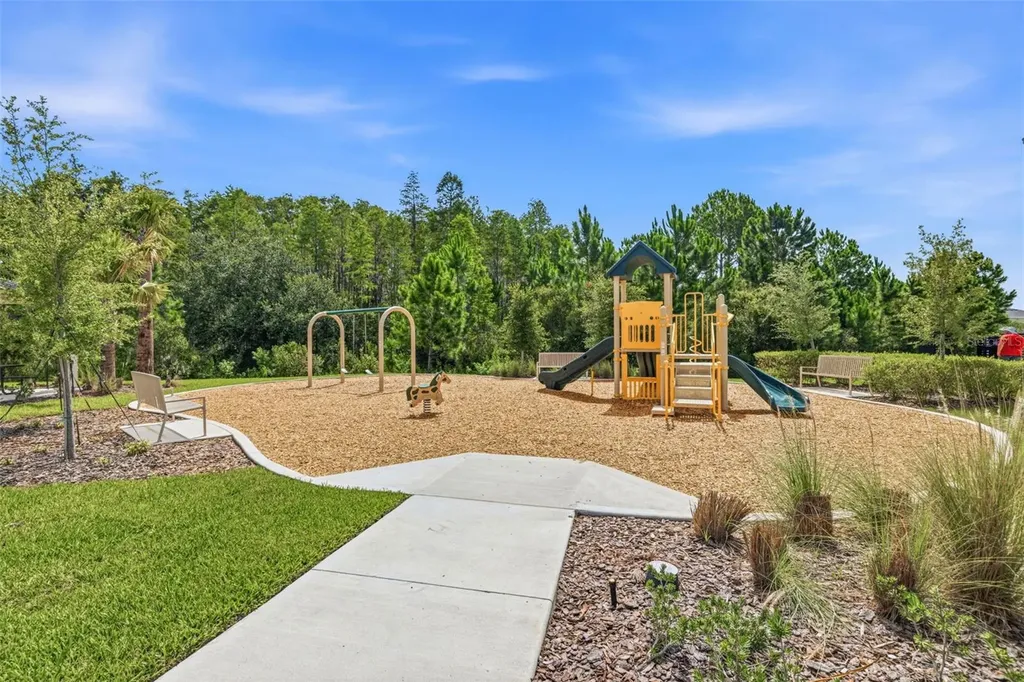 2541 Bending Bonsai Drive Wesley Chapel FL 33543