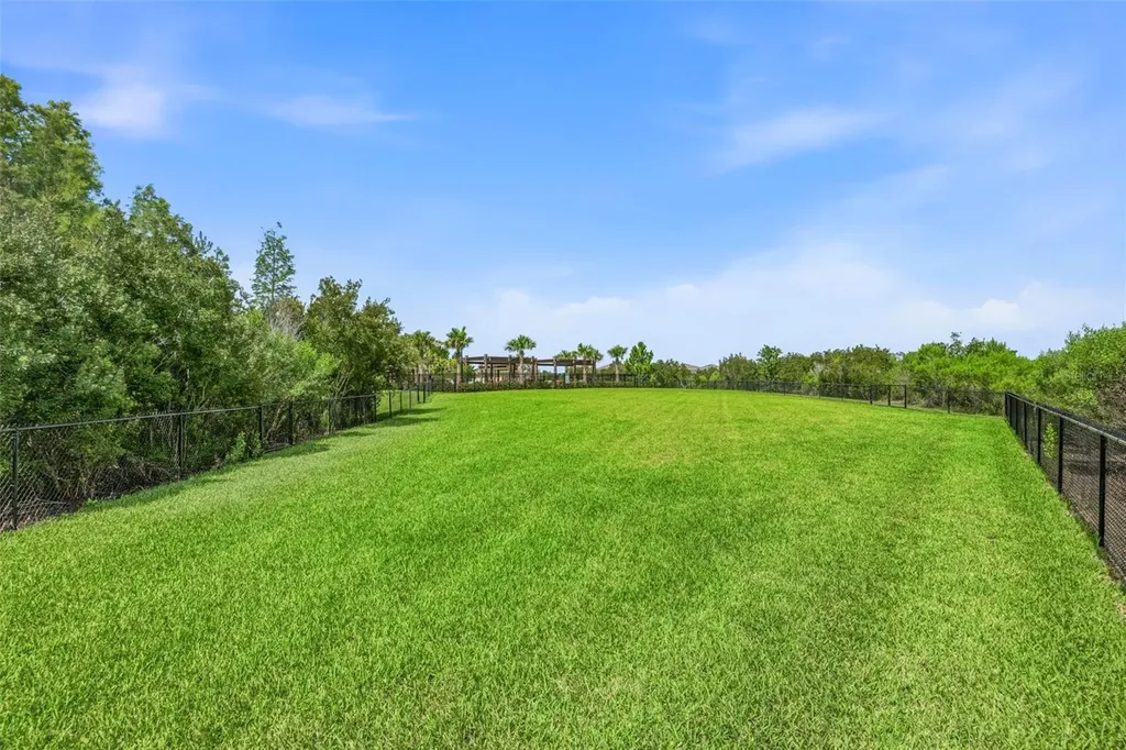 2541 Bending Bonsai Drive Wesley Chapel FL 33543