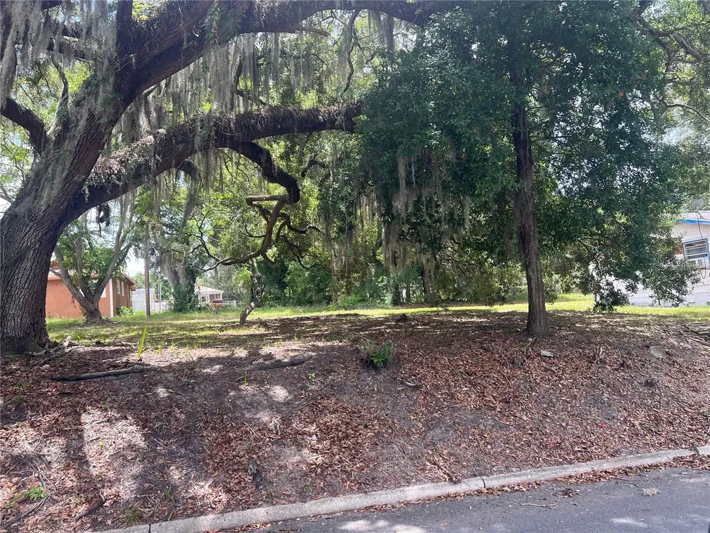 516 W Crawford Street Lakeland FL 33805
