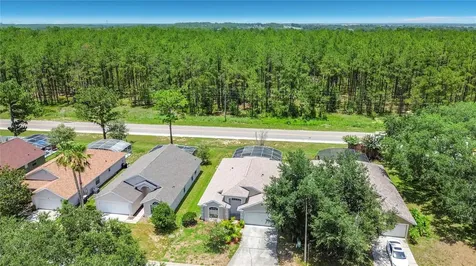516 Pine Cone Drive Davenport FL 33897