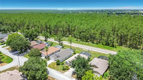 516 Pine Cone Drive Davenport FL 33897