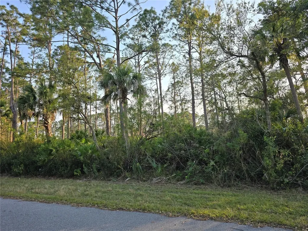 12469 Harlow Avenue Port Charlotte FL 33953