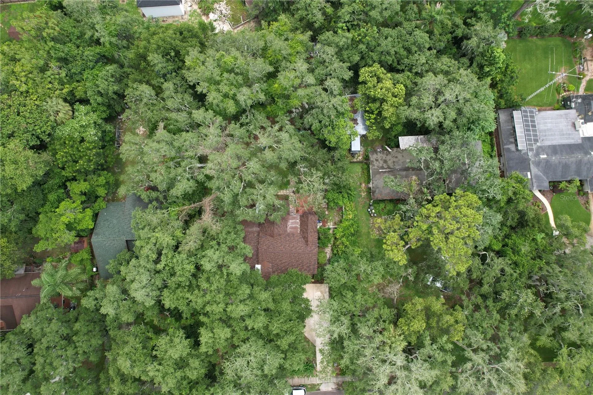 11805 N 51st Street Temple Terrace FL 33617