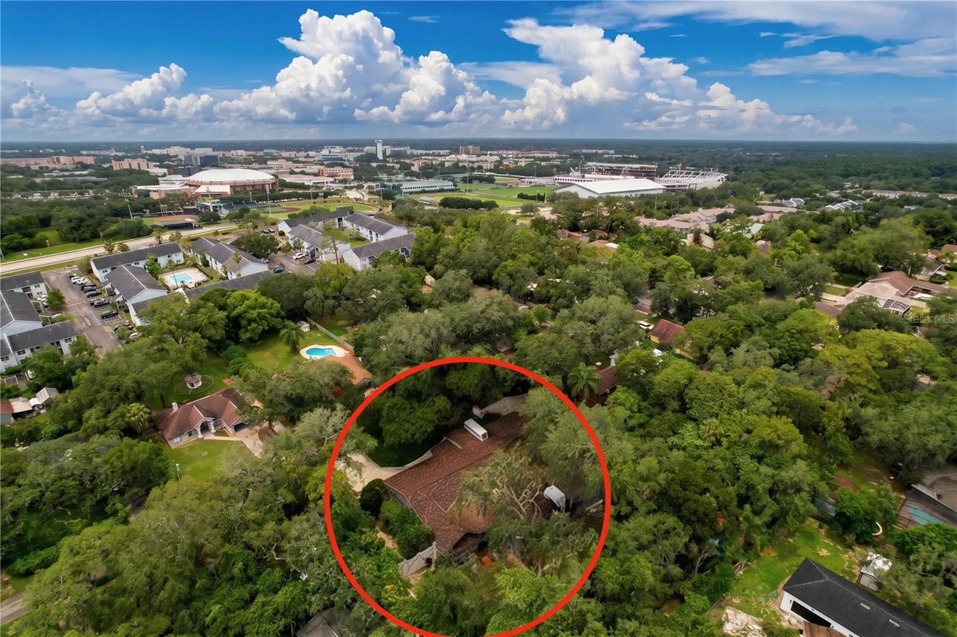 11805 N 51st Street Temple Terrace FL 33617