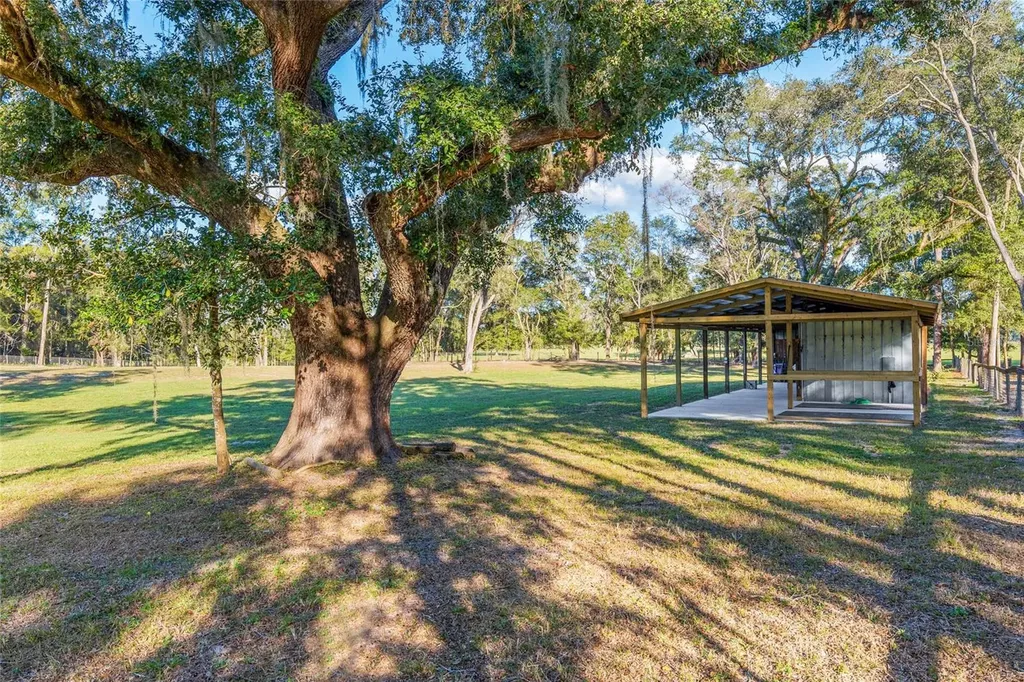 3291 SE 188th Terrace Morriston FL 32668